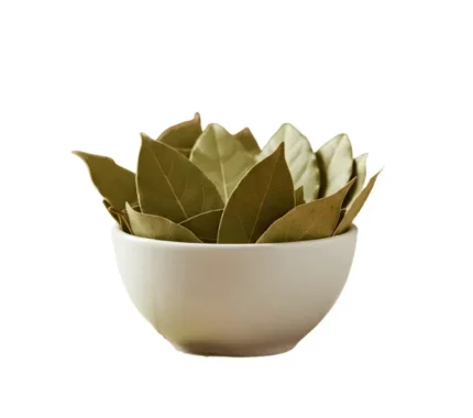 Dry Bay Leaves / Tej Pata (100g)