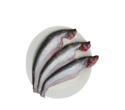Pabda Fish Frozen Block (500g)